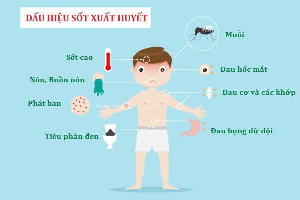 Bệnh Sốt Xuất Huyết Ở Trẻ Em - Những Thông Tin Quan Trọng Mẹ Cần Biết