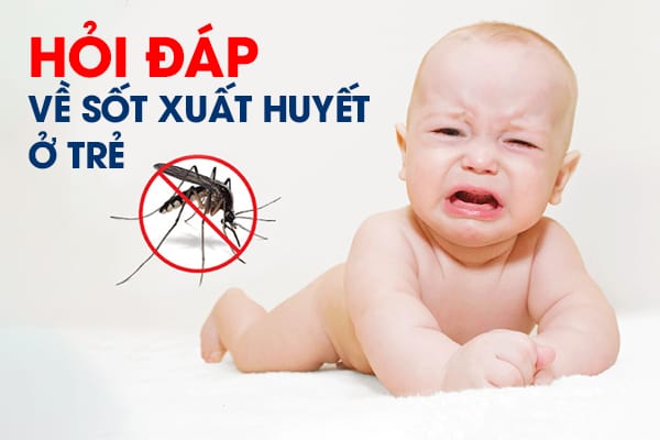 Hỏi Đáp Về Sốt Xuất Huyết Ở Trẻ