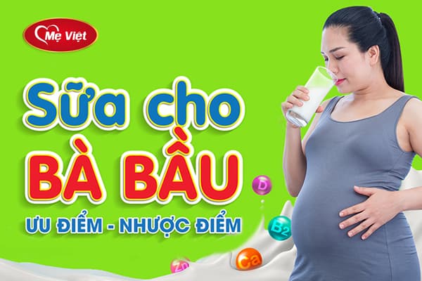 Sữa Cho Bà Bầu - Sữa Tốt Cho Bà Bầu 3 Tháng Đầu